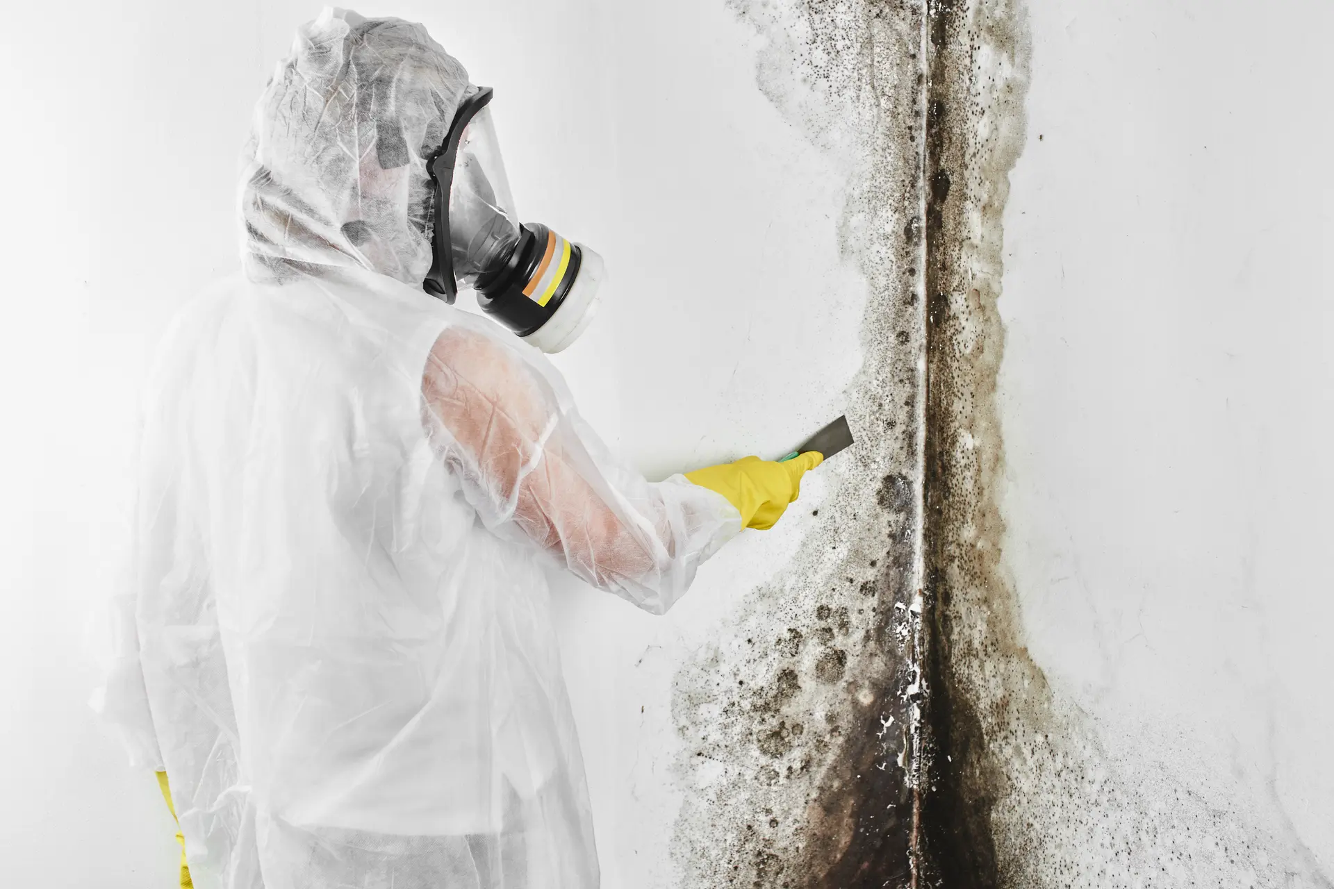 Person in protective gear and respirator scrapes mold off a white wall.