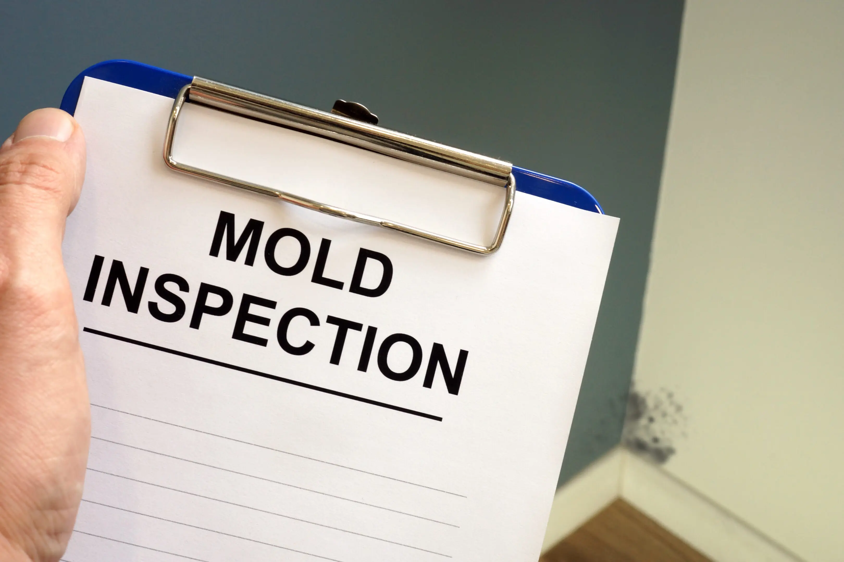 Mold Inspection in Nashville, Franklin, Murfreesboro, Brentwood, Mt. Juliet, Smyrna