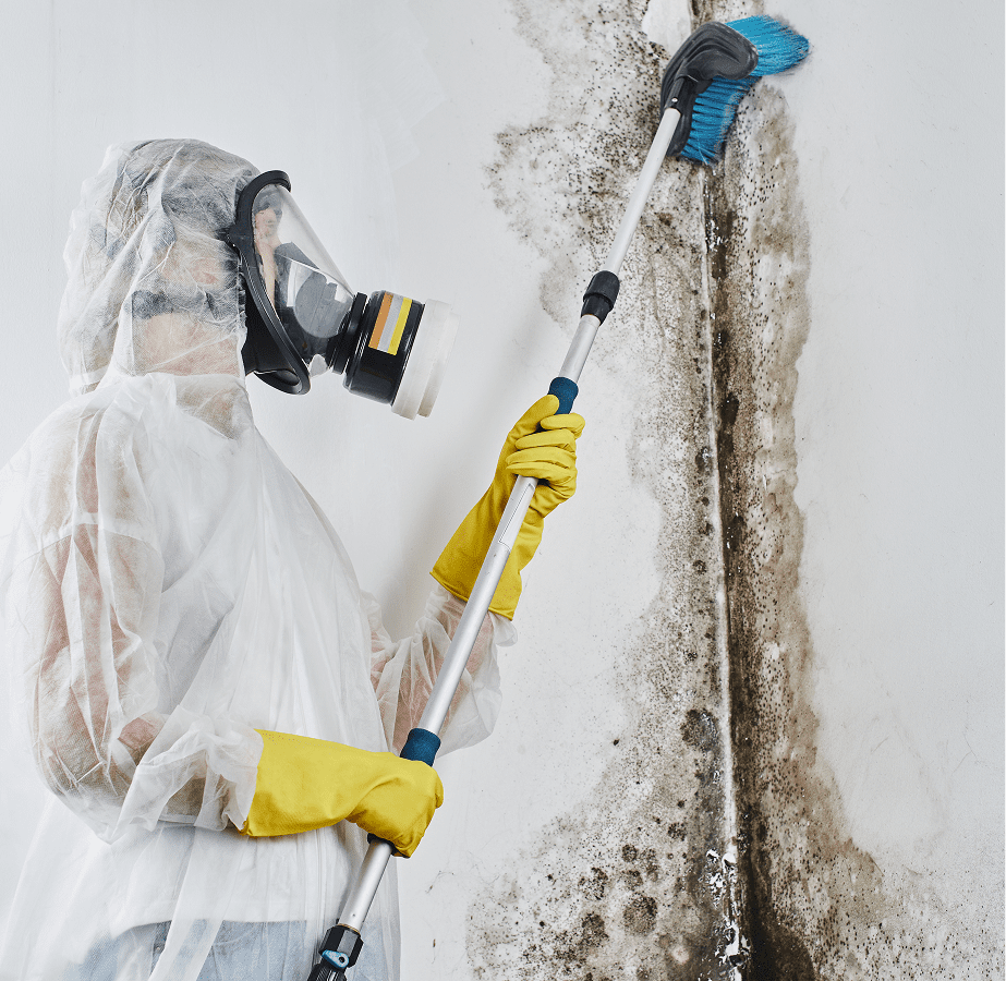Person in protective suit and gas mask scrubs mold from a wall with a brush.