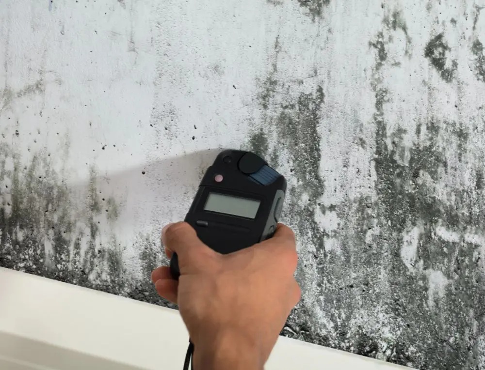 Mold Testing in Nashville, Franklin, Murfreesboro, Brentwood, Mt. Juliet, Smyrna