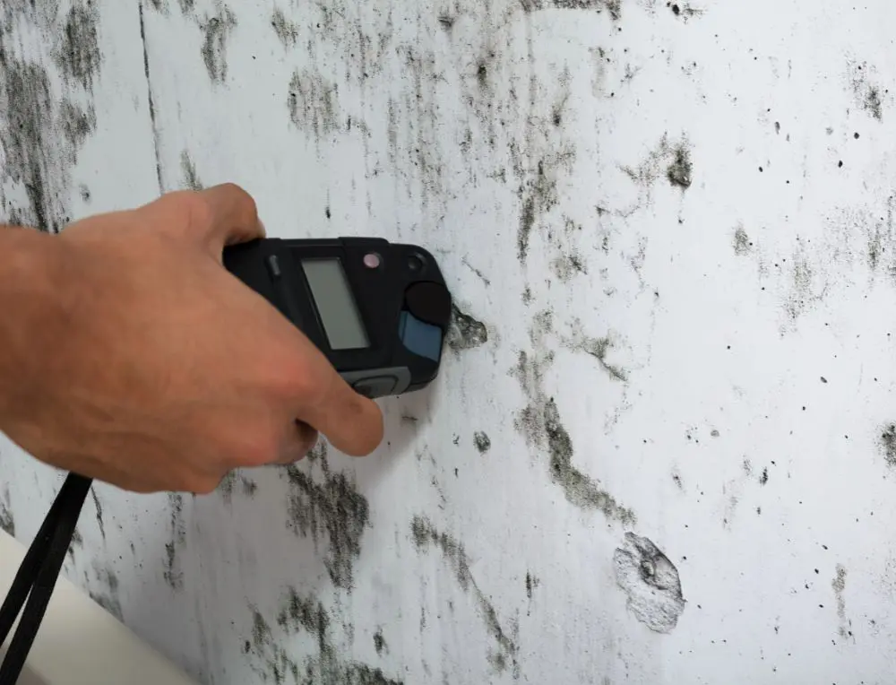 Mold Inspection at a business in Grand Rapids, MI