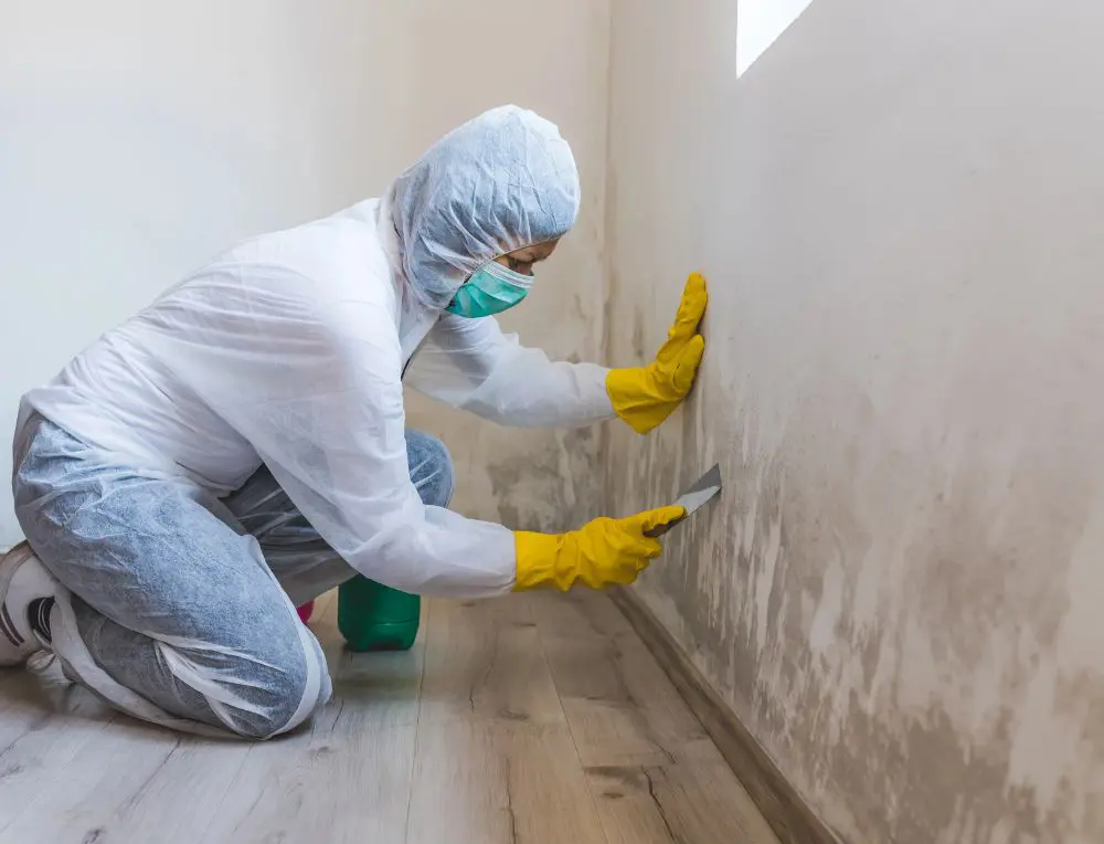 A specialist performing post mold cleaning in Grand Rapids, MI