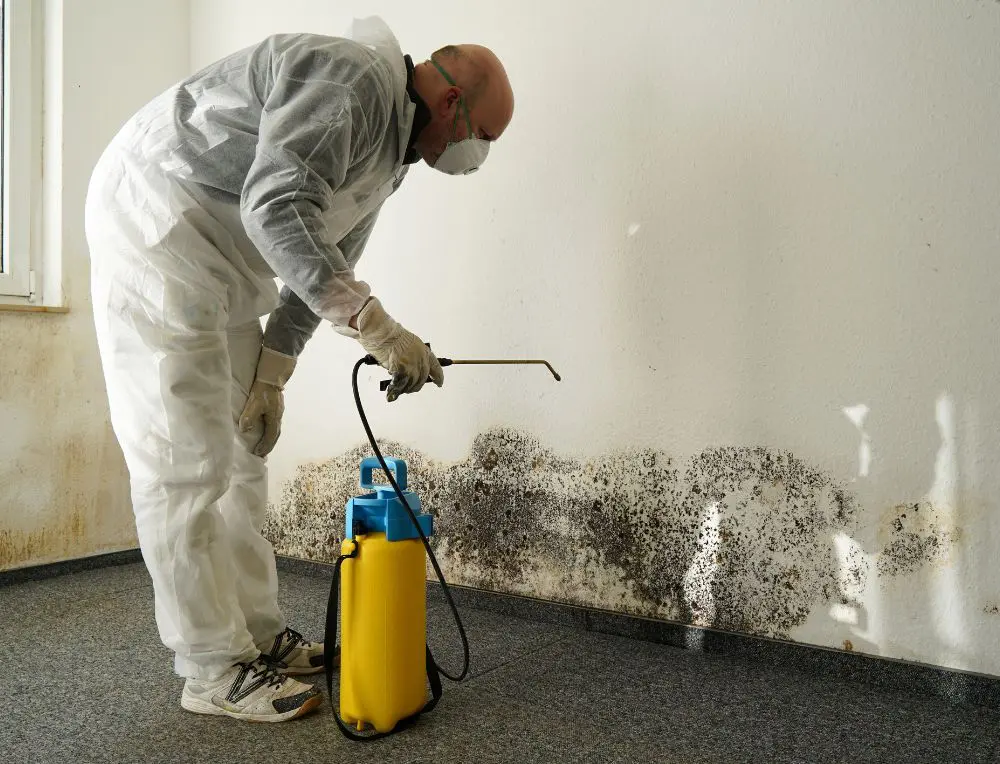 HEPA Cleaning Services at a home in Grand Rapids