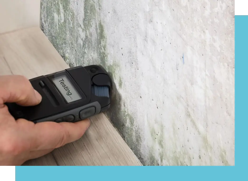 A person using a cordless phone to check the wall.