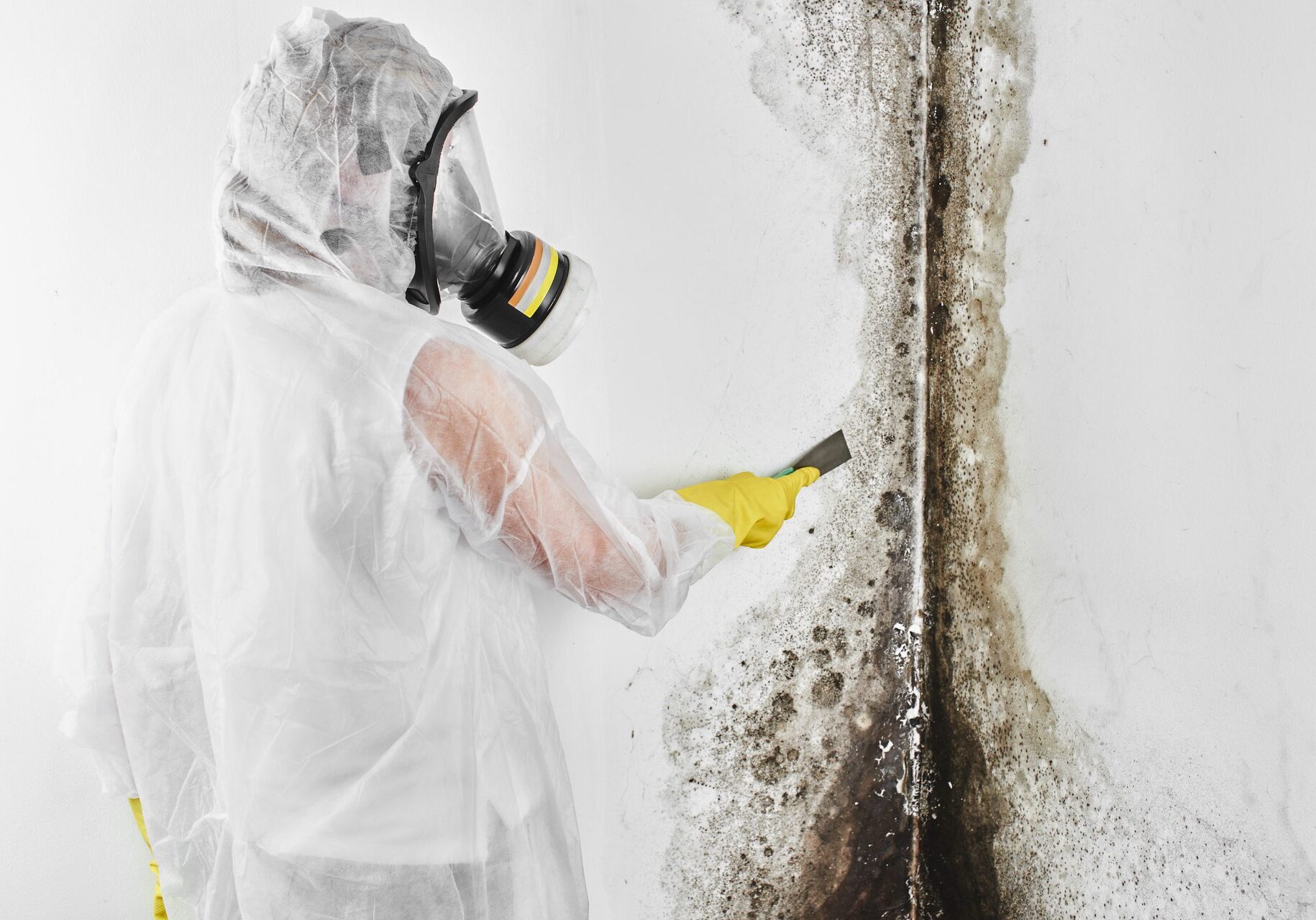 Person in protective gear and respirator scrapes mold off a white wall.
