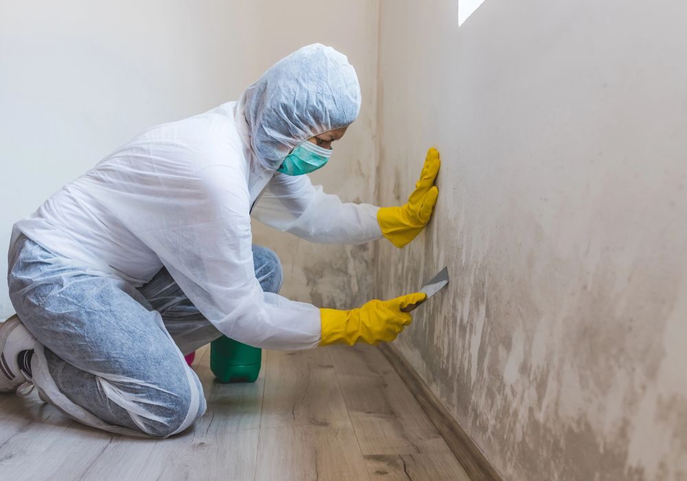 Mold Mitigation in Brentwood, TN, Franklin, TN, Mt. Juliet, TN, Murfreesboro, TN, Nashville, Smyrna, TN